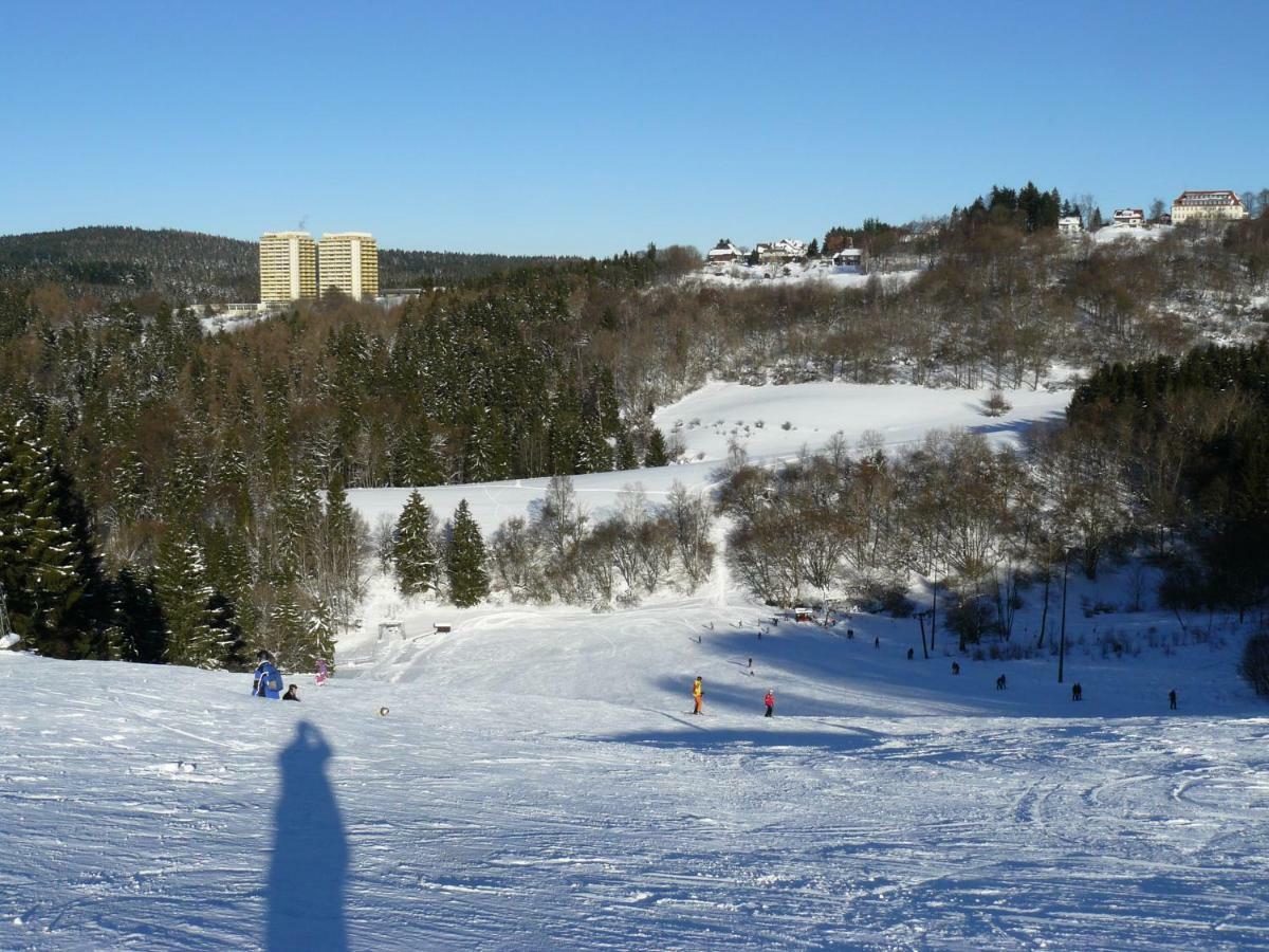 Ferienwohnung "Traumblick" - Selbstversorger Braunlage Eksteriør billede